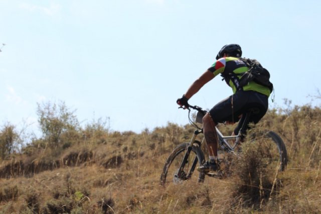btt2019-0642