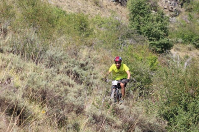 btt2019-0643