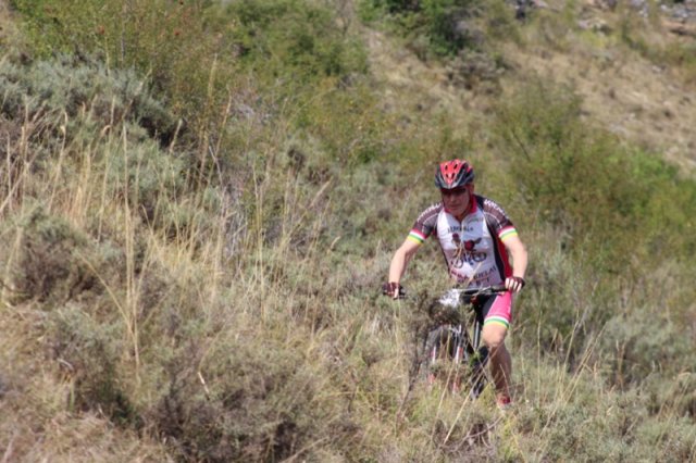 btt2019-0667