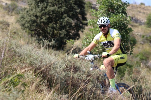 btt2019-0675