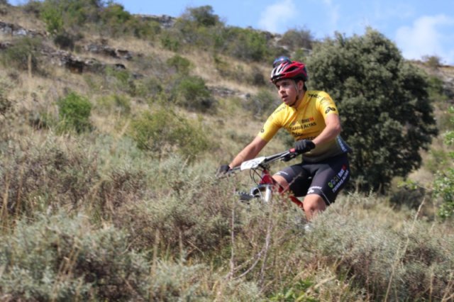 btt2019-0690