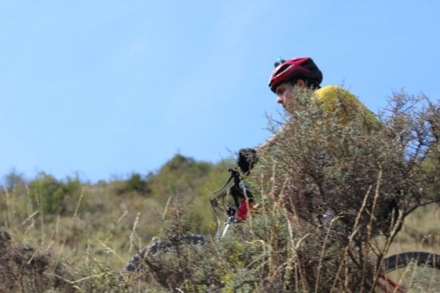 btt2019-0691