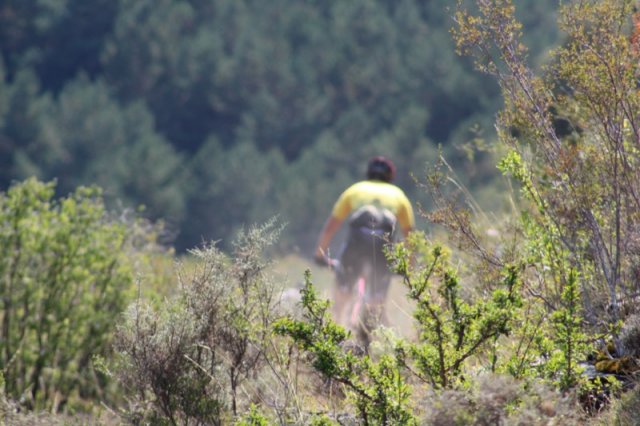 btt2019-0692