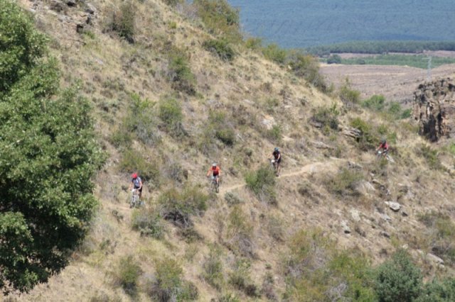 btt2019-0693