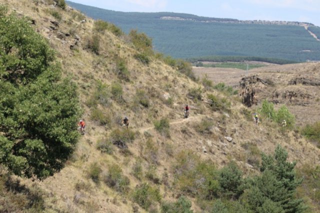 btt2019-0694
