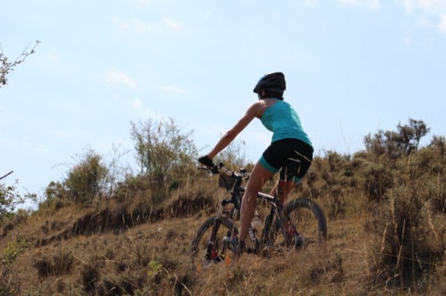btt2019-0709