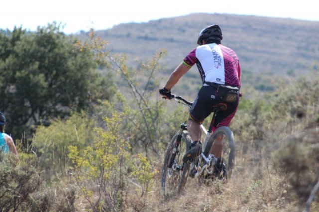 btt2019-0712