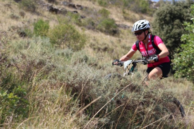 btt2019-0734