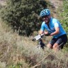btt2019-0556