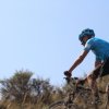 btt2019-0557