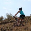 btt2019-0709