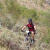 btt2019-0714