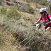btt2019-0734