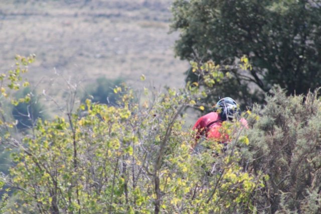 btt2019-0769