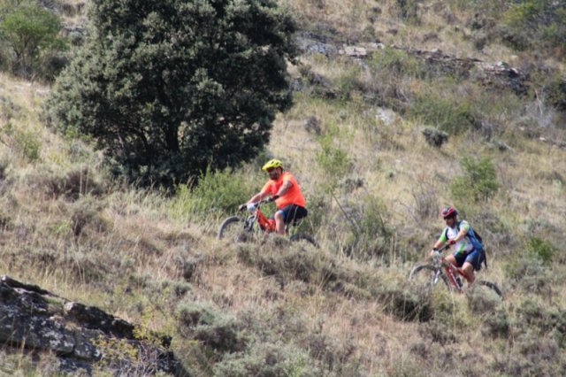 btt2019-0796