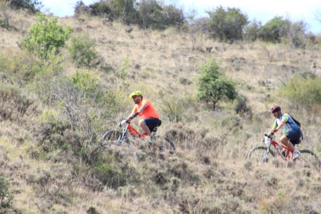btt2019-0798