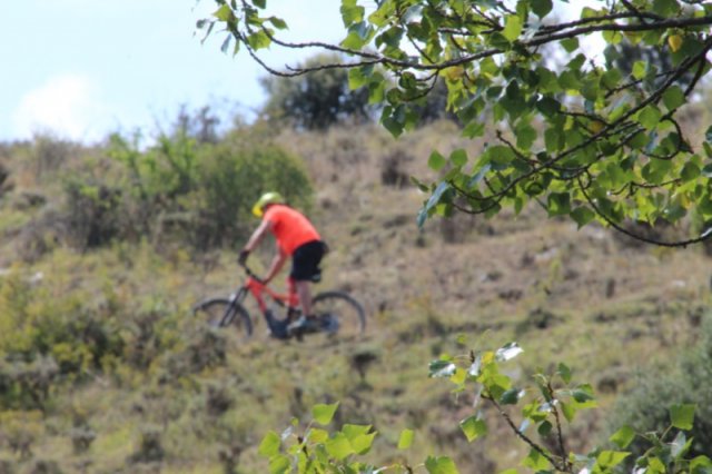 btt2019-0799
