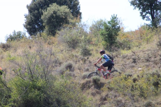 btt2019-0800