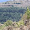 btt2019-0765