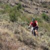 btt2019-0766