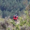 btt2019-0770
