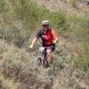 btt2019-0773