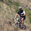 btt2019-0780