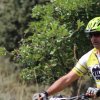 btt2019-0786