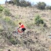 btt2019-0798