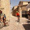 btt2019-0939