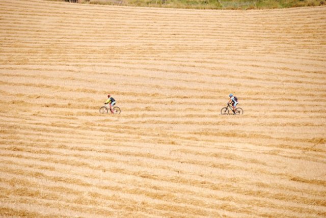 btt2016_055