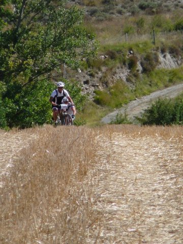 btt2016_168