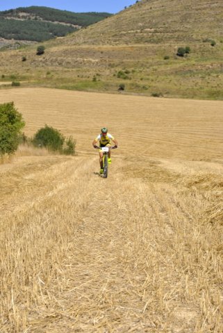 btt2016_289
