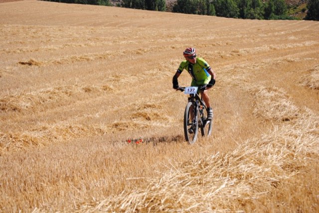 btt2016_332