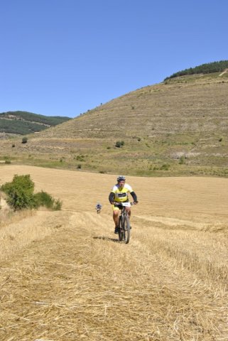 btt2016_342