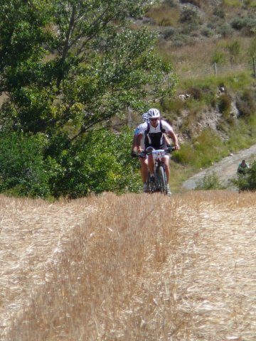 btt2016_353