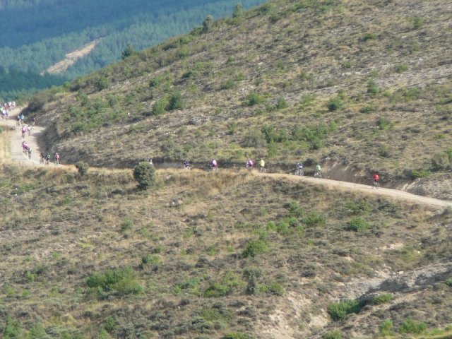 btt2016_429