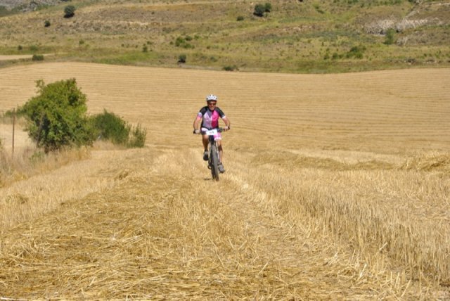 btt2016_528