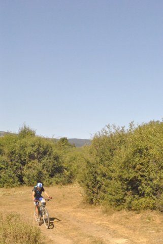 btt2017_148