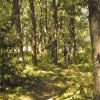 btt2017_122