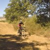 btt2017_131