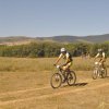 btt2017_139