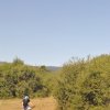 btt2017_148