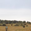 btt2017_149