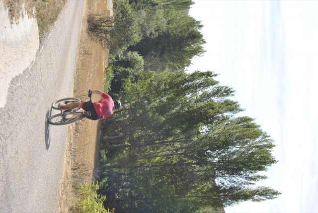 btt2018_179