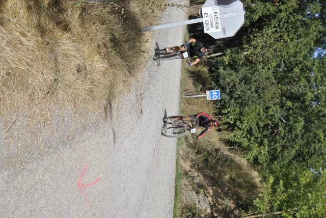 btt2018_184