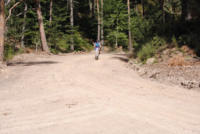 btt2018_220
