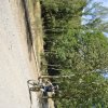 btt2018_145