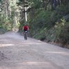 btt2018_233