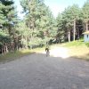 btt2018_320